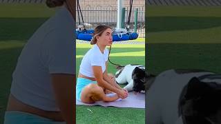 She Tried to Focus… Dog Needed Attention 😂🐕 #shorts #funnyshorts #dogshorts #fitness #cute