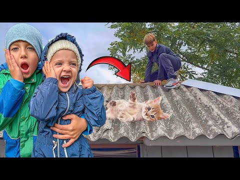 🤷‍♂️Wir retten Melanies Katze/ Was ist passiert?