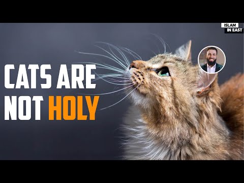 Cats are not Holy in Islam? | Belal Assad
