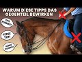 Was Dein Reitlehrer Sagt Und Was Du Stattdessen Machen Solltest Tipps Feines Reiten