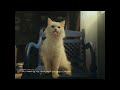 Desh Ka Namak NamakHoTataKaTataNamak Cats Tamil