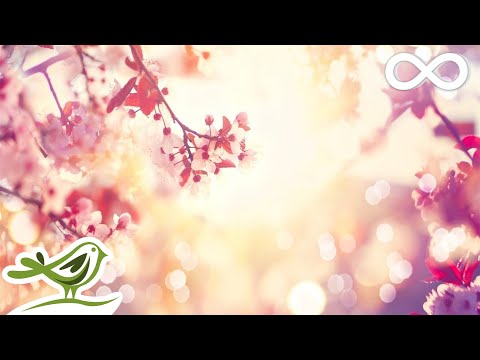 9 Hours of Relaxing Sleep Music: Soft Piano Music, Sleeping Music, Fall Asleep Fast ★98