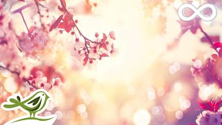 9 Hours of Relaxing Sleep Music: Soft Piano Music, Sleeping Music, Fall Asleep Fast ★98