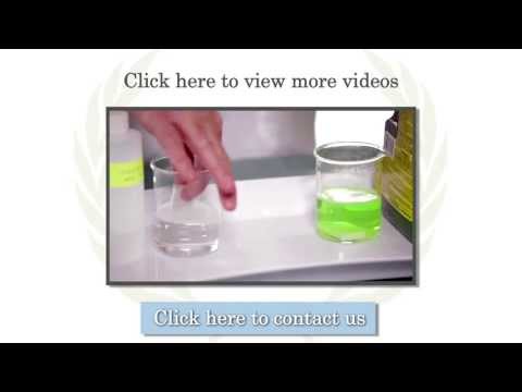 CHD4 - Vitech International