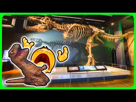 Night at the Museum explained by an idiot