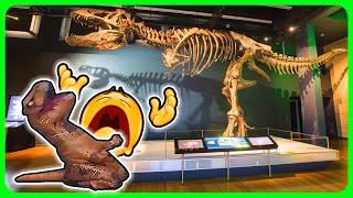 Night at the Museum explained by an idiot