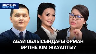 АБАЙ ОБЛЫСЫНДАҒЫ ОРМАН ӨРТІНЕ КІМ ЖАУАПТЫ?