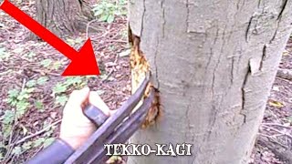 Lethal Ninja Weapons You'll NEVER Want to Encounter