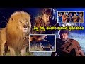 Lion Attacking On Chiranjeevi Interesting Scene Mrugaraju Telugu Movie Scenes HIT MOVIES