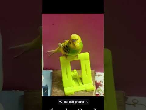 rosi she is so wonderful 🎉🎉🎉🎉🎉🎉🎉🎉🎉