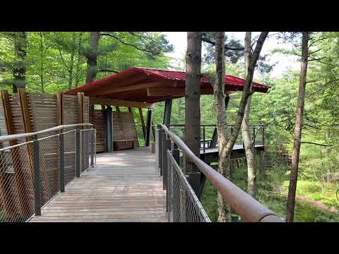 Explore Dow Gardens’ Canopy Walk in Midland Michigan