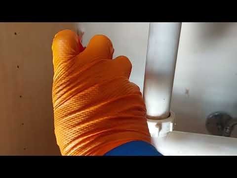 Cockroaches Crawling Across the Kitchen in Titusville, NJ