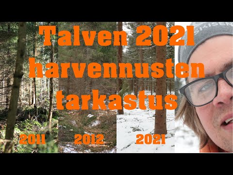 Hakkuutarkastus ja kuvia metsien kehityksestä