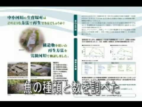 枯れた杉の代替品 常緑樹の範囲 色 葉の質感 適応性 さまざまな生育条件