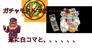 妖怪ウォッチバスターズ   VIPルームで白コマと対決⁉️