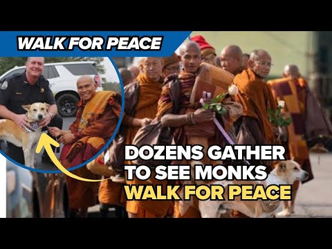 Buddhist monks on Walk for Peace make way to Charlotte