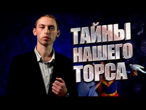 [ЯЗЫК ТЕЛА] НЕВЕРБАЛЬНЫЕ СИГНАЛЫ ЖИВОТА, БЕДЕР, ГРУДИ И ПЛЕЧ