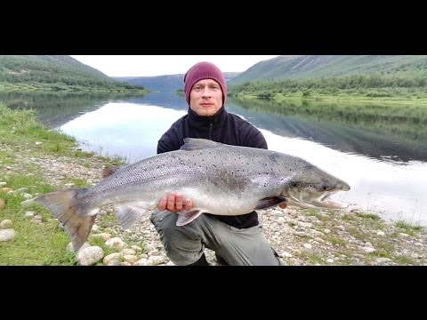 Lohensoutua Tenolla 2016