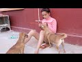 Funny Cute Girl Playing With Dog 17