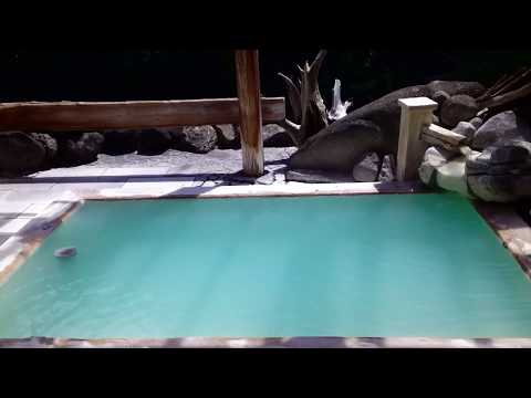 高湯温泉 ひげの家 露天風呂