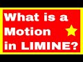 What is a Motion in Limine? New York Medical Malpractice Attorney Gerry Oginski Explains