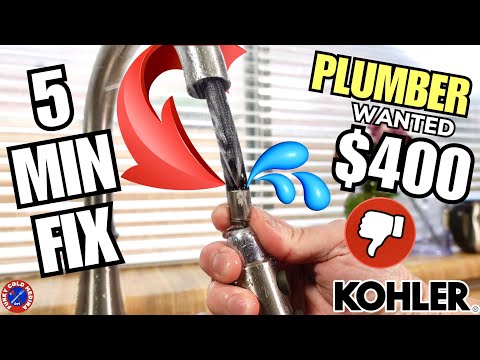 💦 LEAKY💦 Kohler Kitchen Faucet EASY FIX WITHOUT CURSING🤬 | PULL OUT Hose REPLACEMENT