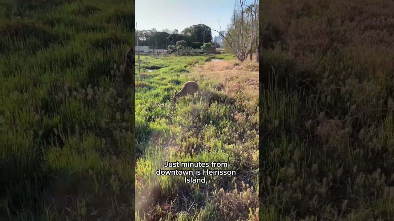 YouTube Short thumbnail