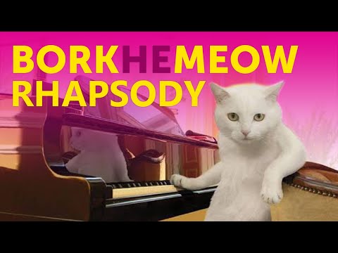 Cat & Dog Sings "Bohemian Rhapsody" - Queen