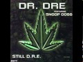 D.R.E. Still [LP Version] 