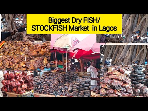 OTTO Market || cheapest & Biggest Dry Fish Market In Lagos, Raw Market Vlog | Current Price