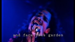 Birth Ritual (lyrics) ~ Soundgarden