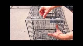 How to set humane cat traps
