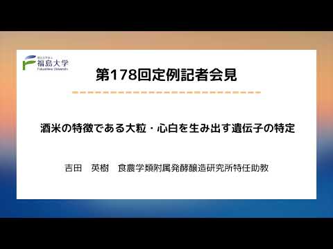 【福島大学】第178回定例記者会見「酒米の特徴である大粒・心白を生み出す遺伝子の特定」