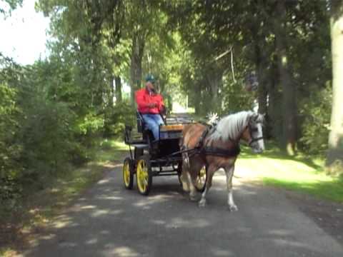 Boerakker01   paard met dressuurkar