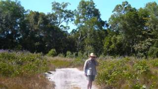 Climate Change: Cyclone/Hurricane Beach Ridges