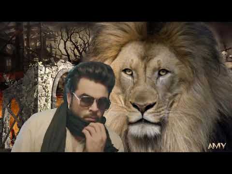 SHERAN DE SHIKAR NINJA 2