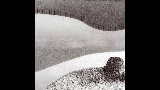 Cornelius - The Spell of a Vanishing Loveliness (Beach Fossils Rework) (Official Audio)