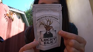 TRYING LEAFLY'S 2024 STRAIN OF THE YEAR