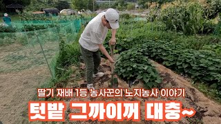 하우티비PD에게 속아서 텃밭 관리하여 로타리 작업하고 갑니다. 근데 텃밭에 유기물이 머 이리 없어?
