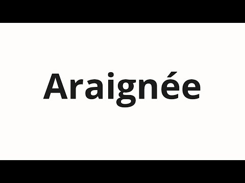 How to pronounce Araignée