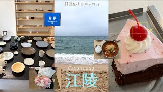 【韓国在住Vlog】江陵出張/韓国の結婚式で通訳