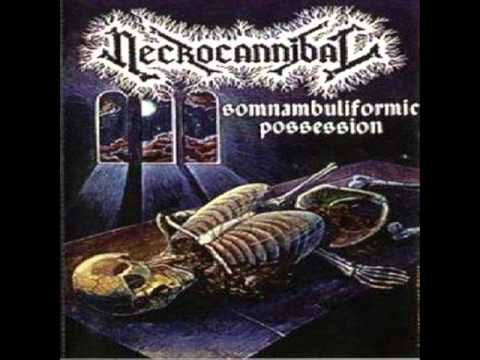 necrocannibal - revel in flesh