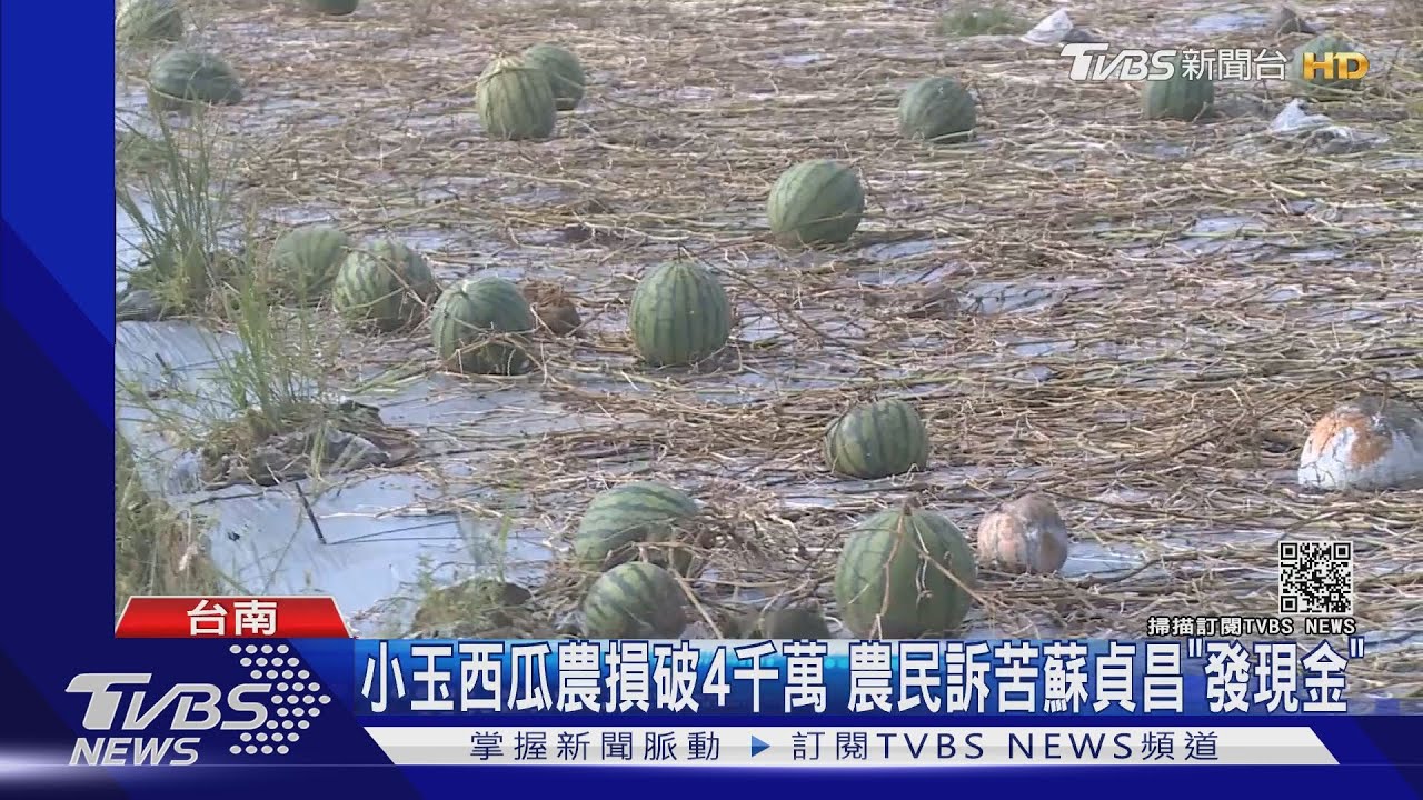 小玉西瓜農損破4千萬 農民訴苦蘇貞昌「發現金」