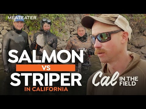 Salmon vs Striper on California’s Coastal Waterways | S3E03 | Cal in the Field