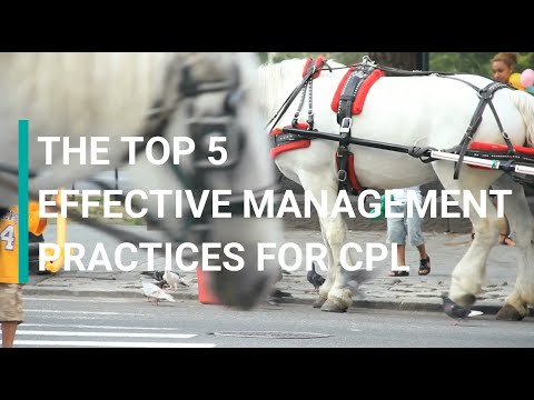 YouTube video about: How to treat cpl in horses?