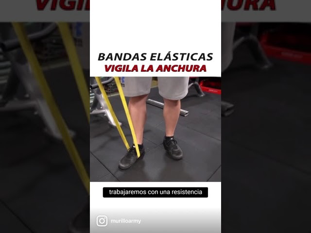 Vídeo relacionado con Savage Island Pack 10 Cuerdas Elásticas Reforzadas
