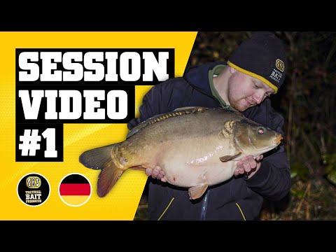 Eine kurze Herbstsession - SBS Session Video #1 | Karpfenangeln