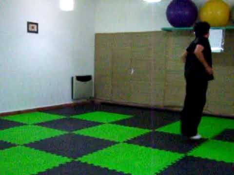 kung fu esfera vital 4