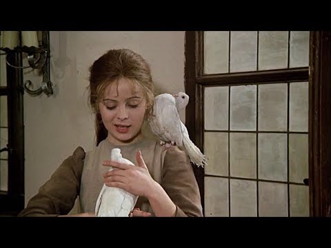 Karel Gott - Wo, kleiner Vogel, ist dein Nest? (Kdepak, ty ptáčku, hnízdo máš) 1976