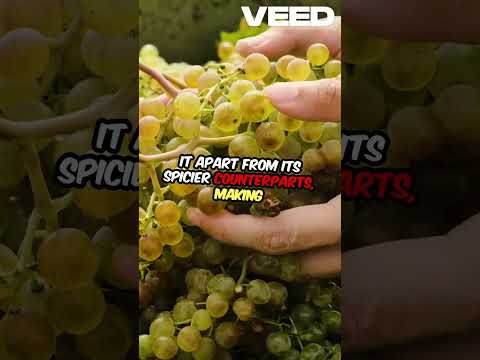 The History of Dijon Mustard!